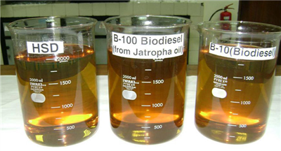 Biodiesel CNSL